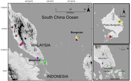 Riyanto  et al. 2015