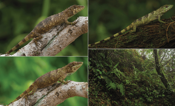 Screen Shot 2016-07-06 at 8.41.08 PM