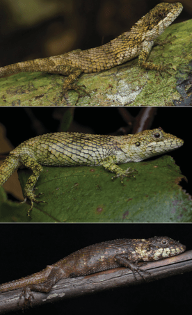 Screen Shot 2016-07-06 at 8.41.27 PM