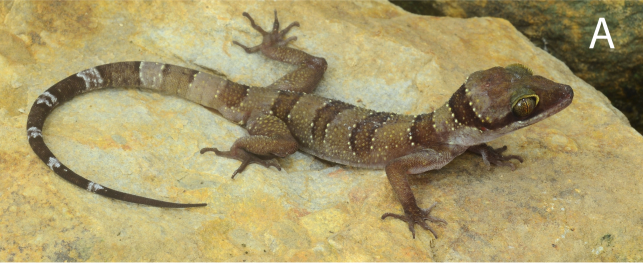 Screen Shot 2019-09-09 at 8.12.13 AM