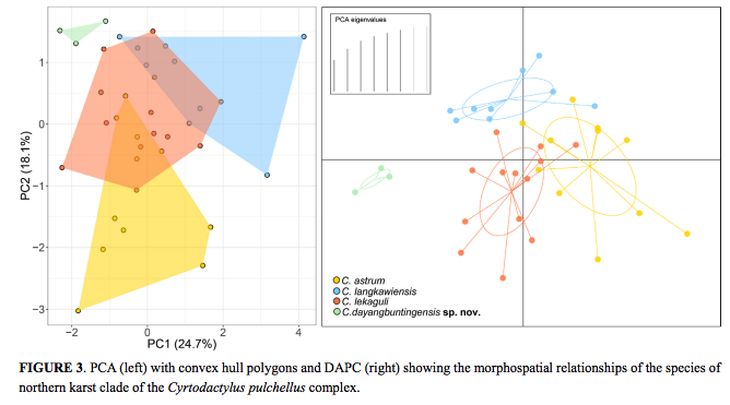 Screen Shot 2019-09-09 at 8.12.23 AM